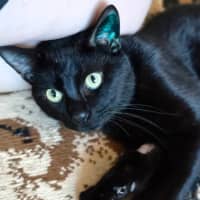 Photo of Vader