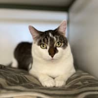 Photo of Razzmatazz