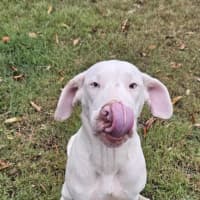 Photo of Whitey