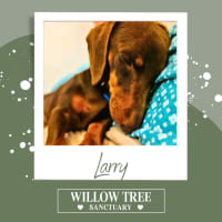 Photo of Larry