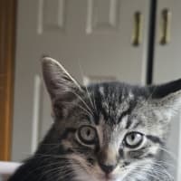 Photo of Jeffrey