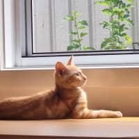 Photo of Maverick