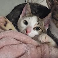 Photo of Mia