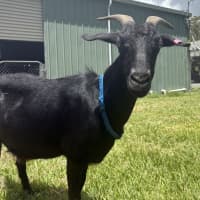 Photo of Jasper