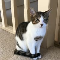 Photo of Jasper