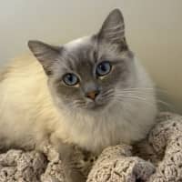 Photo of Evie