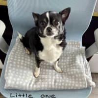 Photo of Cody And Little One