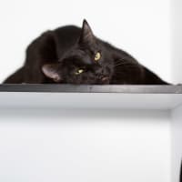 Photo of Honey