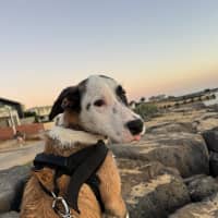 Photo of Isla