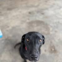 Photo of Sooty