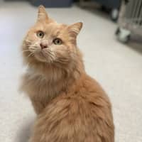 Photo of Garth (0030)