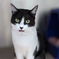 Photo of Dora