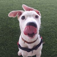 Photo of Molly