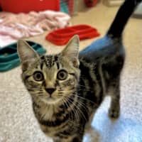Photo of Twinkle