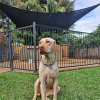 Photo of Bingo