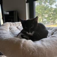 Photo of Parker