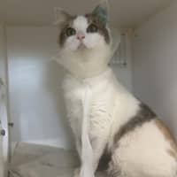 Photo of Babbette