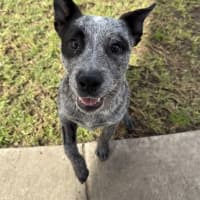 Photo of Luna