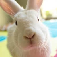 Photo of Harriette