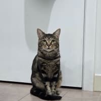 Photo of Buddy