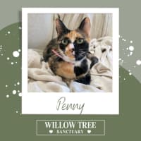 Photo of Penny