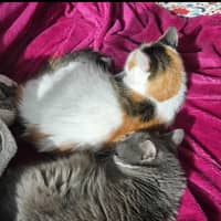 Photo of Evie & Charlotte 