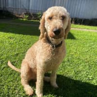 Photo of Murphy