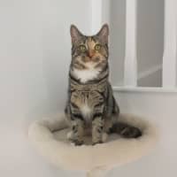 Photo of Sharona 