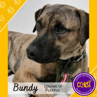 Photo of Bundy