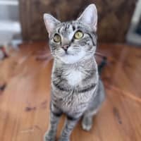 Photo of Sully 🌹🌹🌹