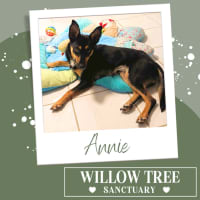 Photo of Annie