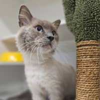 Photo of Artemis