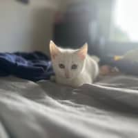 Photo of The Whities! 