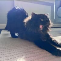 Photo of Sootie Uffelman