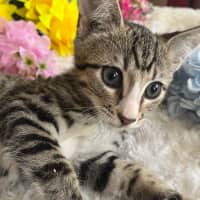 Photo of Jasper