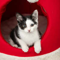 Photo of Parker
