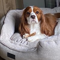 Photo of Ruby Uffelman