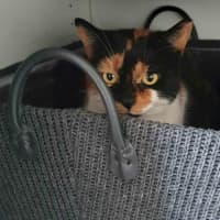 Photo of Queen Mimmi