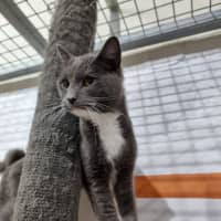 Photo of Louie
