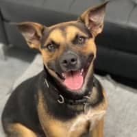 Photo of Cleo