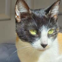 Photo of Monica