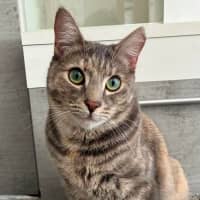 Photo of Charlotte