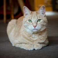 Photo of Sally & Denny