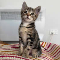 Photo of Daphne 🌻