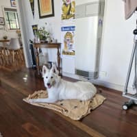 Photo of Brin