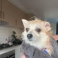 Photo of Tilly And Finn