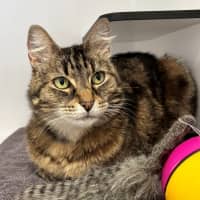 Photo of Luna Sta013217