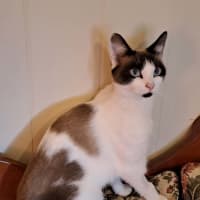Photo of Ivy