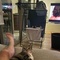 Photo of Kitty