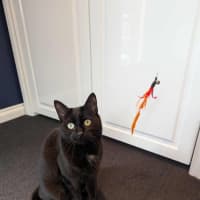 Photo of Amy & Declan